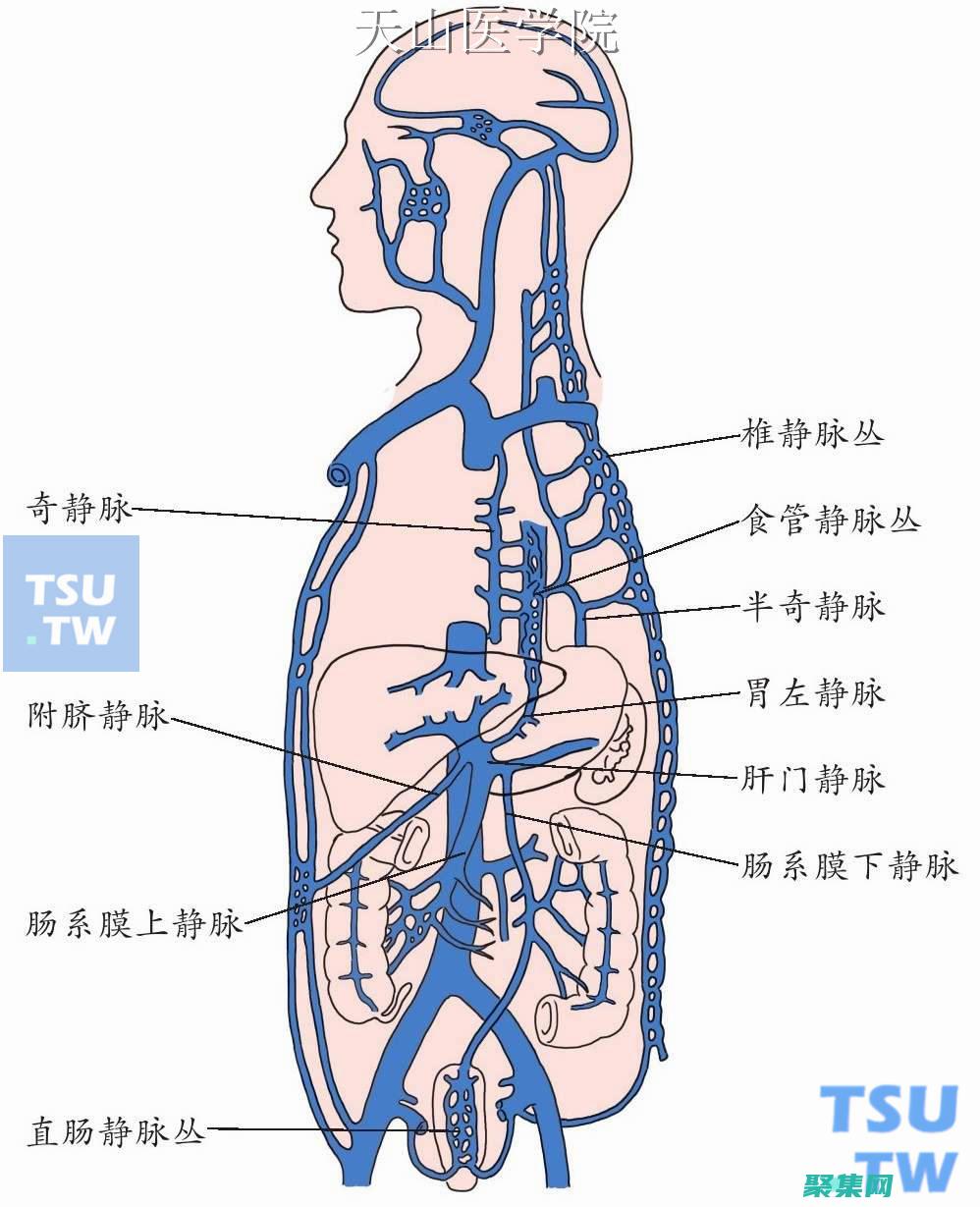 是啥