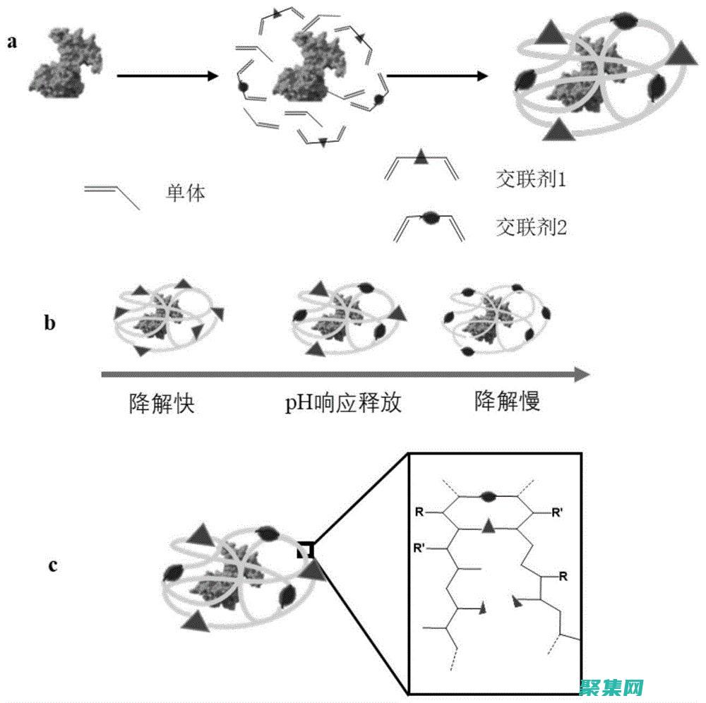 釋放 Java 編程的力量，盡情享受免費學習的樂趣 (java如何釋放對象)
