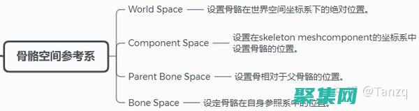 動畫解剖