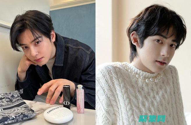 揭開 Dedecms 源碼的秘密寶庫：解鎖其無限潛力 (揭開的意思)