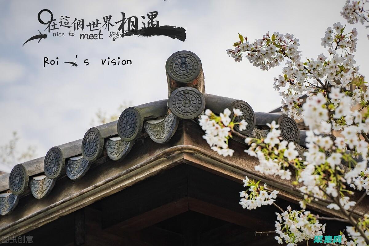 優(yōu)化網(wǎng)站盈利能力：巧用浮動廣告代碼最大化廣告收入潛力 (優(yōu)化網(wǎng)站盈利模式)