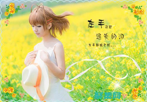 一網打盡！10款頂級織夢淘寶客模板等你來下載 (一網打盡1-16)