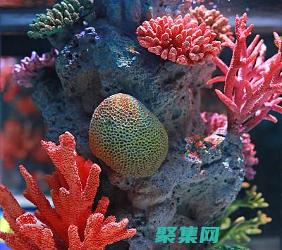 應用免受威脅和漏洞