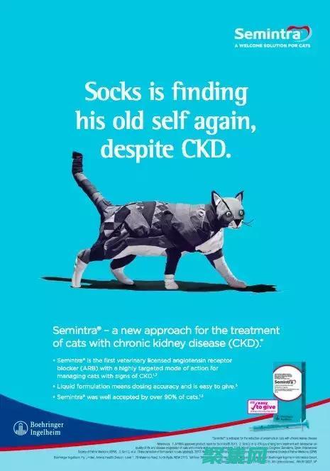 打造一個意見和反饋的虛擬中心