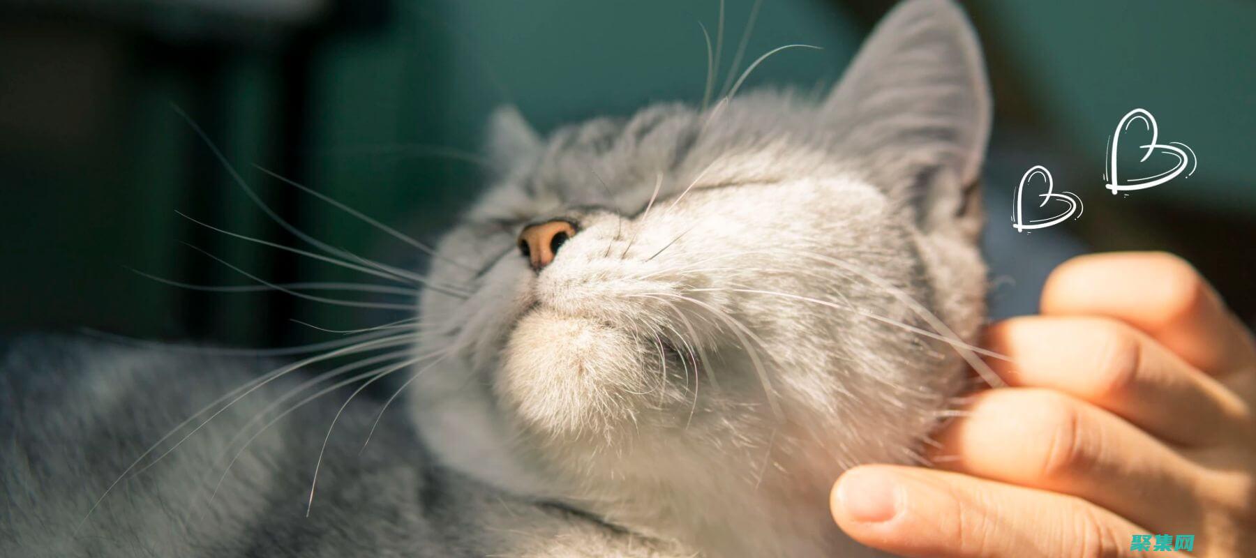 增強軟件理解和自定義能力