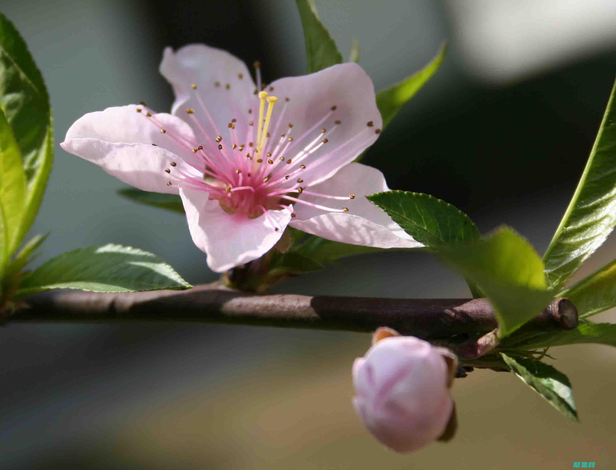揭開 Windows 網絡編程的秘密：打造連接性強的應用程序 (揭開的近義詞)