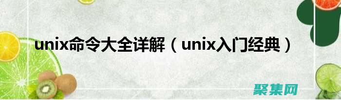 UNIX 網絡編程的全面指南:從基礎到高級概念 (UNIX網絡編程)