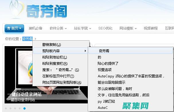 復(fù)制自動(dòng)生成的代碼。(復(fù)制自動(dòng)生成的序號(hào))