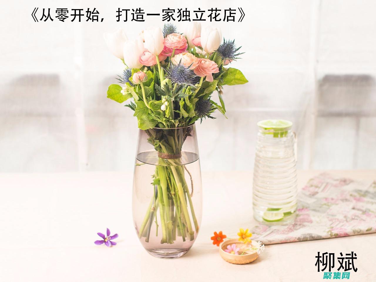 從零開始打造你的夢想網(wǎng)站：織夢建站全能教程 (從零開始打造救世組織)