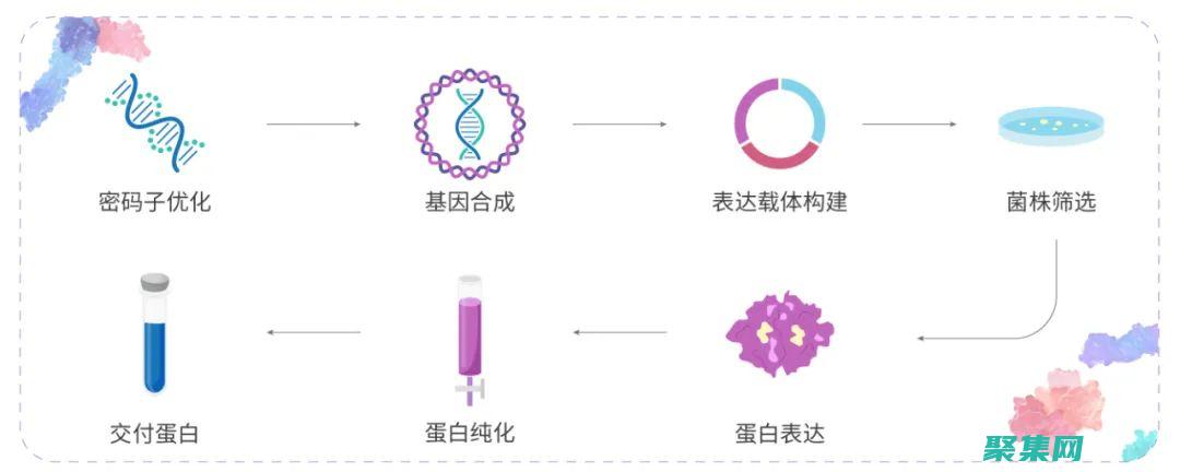 揭開隱藏式導航之謎：增強網站功能和設計的秘訣 (揭開隱藏式導航的秘密)