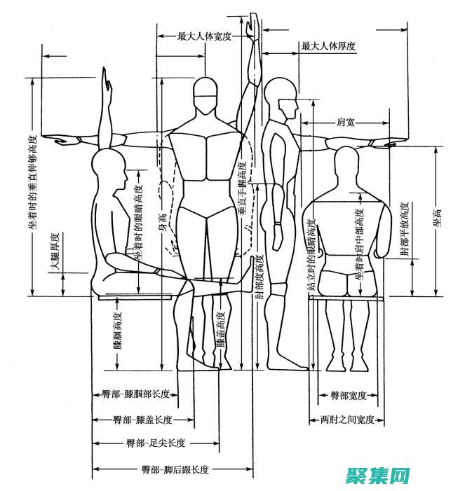 尺度函數在生物學中的意義：從蛋白質結構到生態系統 (尺度函數在生活中應用)