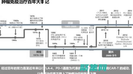 用Java構(gòu)建解決方案