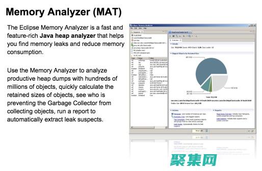探索 MATLAB 中指數函數的奧秘：理解基本原理和 (探索螞蟻)