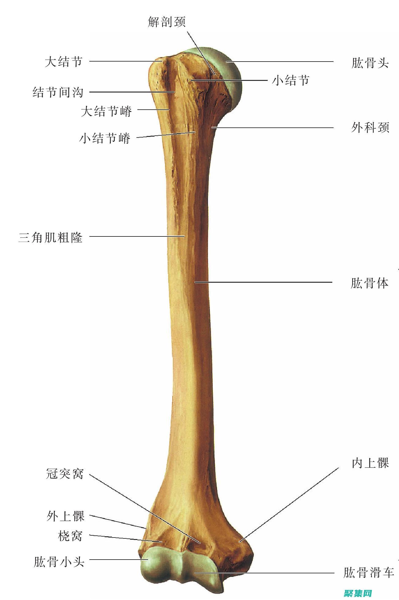 房產行業數字化寶庫的房產