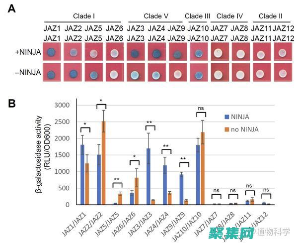 如何在 Java 中輕松調用 Web 服務：分步指南 (如何在java用for循環求和)