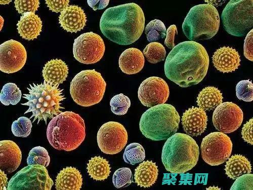 遠(yuǎn)離有害物質(zhì)手抄報(bào)