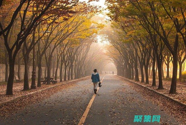 屬性和最佳實踐