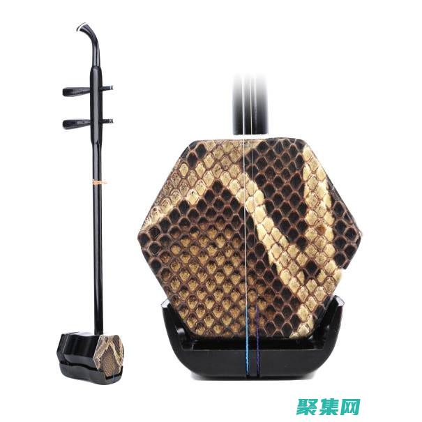 為初學者量身什么意思