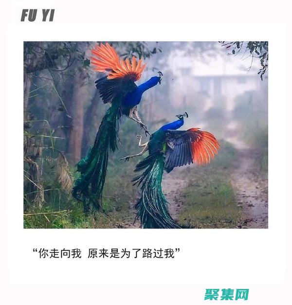 婚姻危機：妻子的出走迫使反思和自我發現 (婚姻危機:妻子懷孕,丈夫出軌并欠債60萬,家庭岌岌可危!)