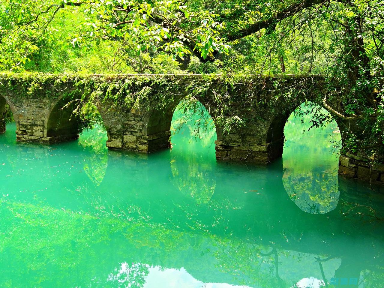 listbox控件揭秘：創(chuàng)建動(dòng)態(tài)和可定制的列表