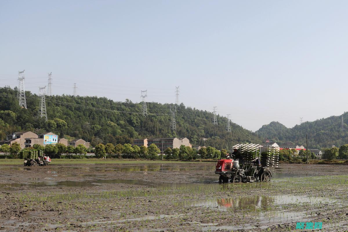 提高效率：插件可以自動化繁瑣的任務，例如垃圾郵件過濾和用戶管理，提高論壇運維效率。(提高 效率)