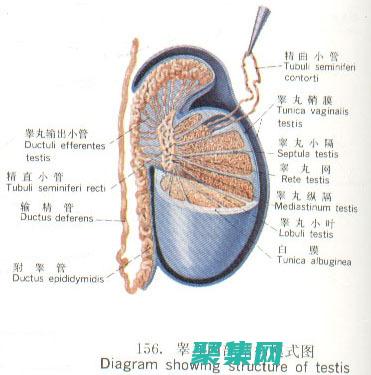 拆解 JSONDecode：一步步解析 JSON 數據的指南 (拆解JSS48A—S時間繼電器視頻)