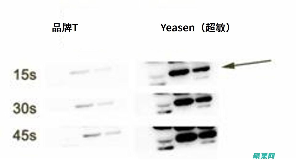 探索 Eclipse 3.4，用于構(gòu)建復(fù)雜應(yīng)用程序的理想 IDE (探索ecco)