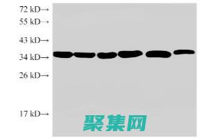使用 Eclipse 3.4 構建高性能、可擴展的應用程序 (使用eclipse開發java程序的步驟是什么?)