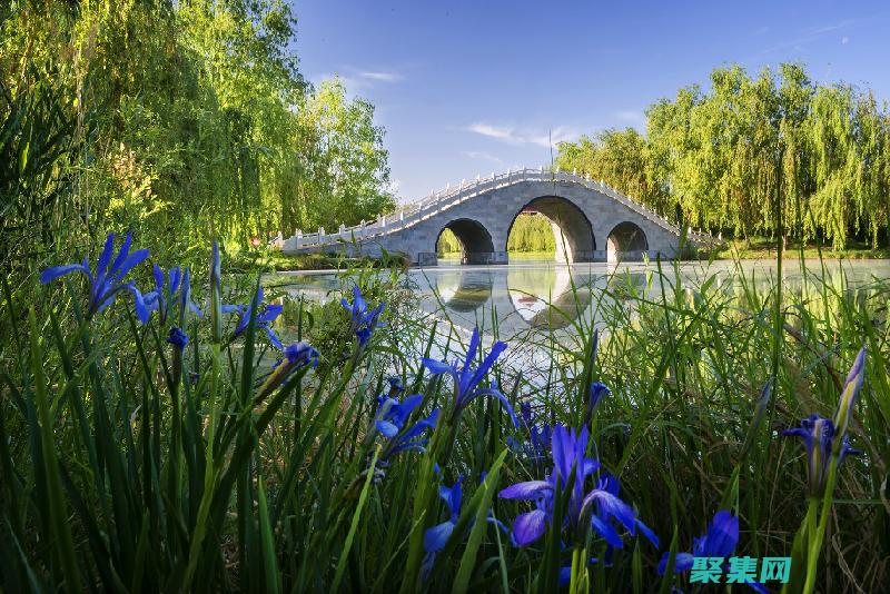 診斷和解決常見(jiàn)