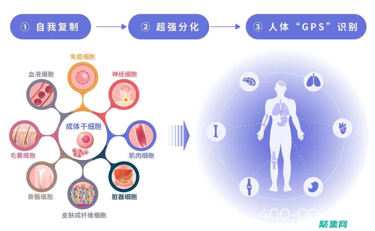 生命周刊