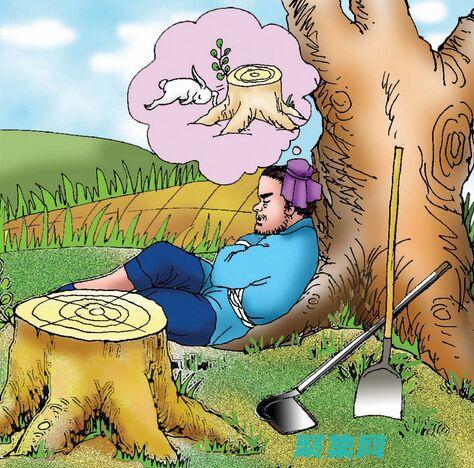 步步為營(yíng)自己的偶像竟然是男朋友的親姐姐