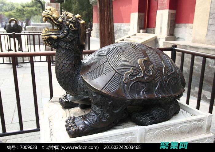烏龜藝術作品