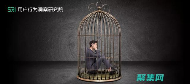 以用戶為中心：運用整站模板提升網站易用性和可用性 (以用戶為中心的設計)