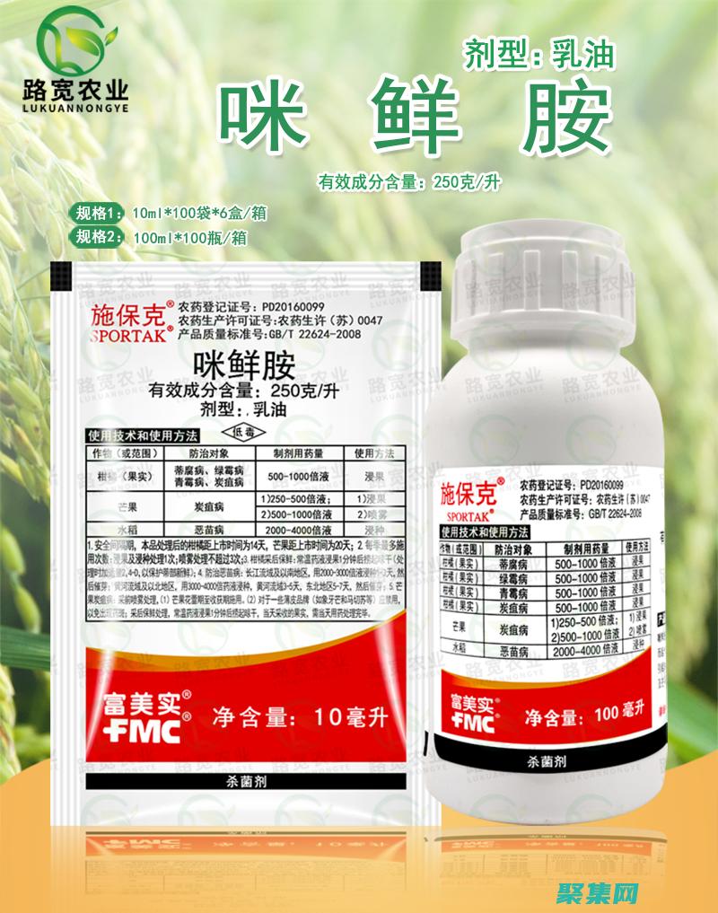 的姐姐