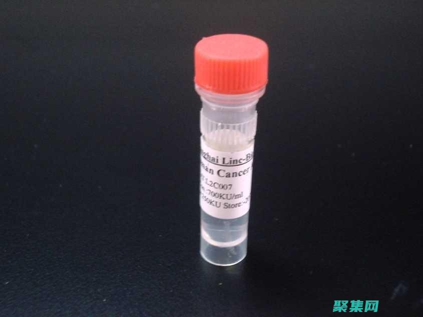 的全面比較