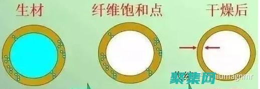 從感主義到虛無主義