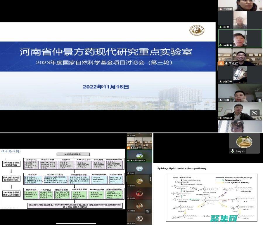 深入研究 Delphi TreeView，以創建復雜的數據結構的可視化 (深入研究的成語有哪些)