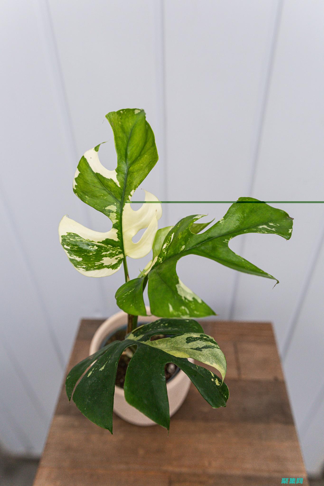 Minimap 策略：利用游戲內(nèi)地圖主導(dǎo)戰(zhàn)場(chǎng) (minimax招聘)