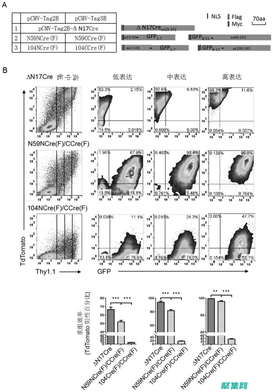 解鎖無限的圖案筆刷潛力