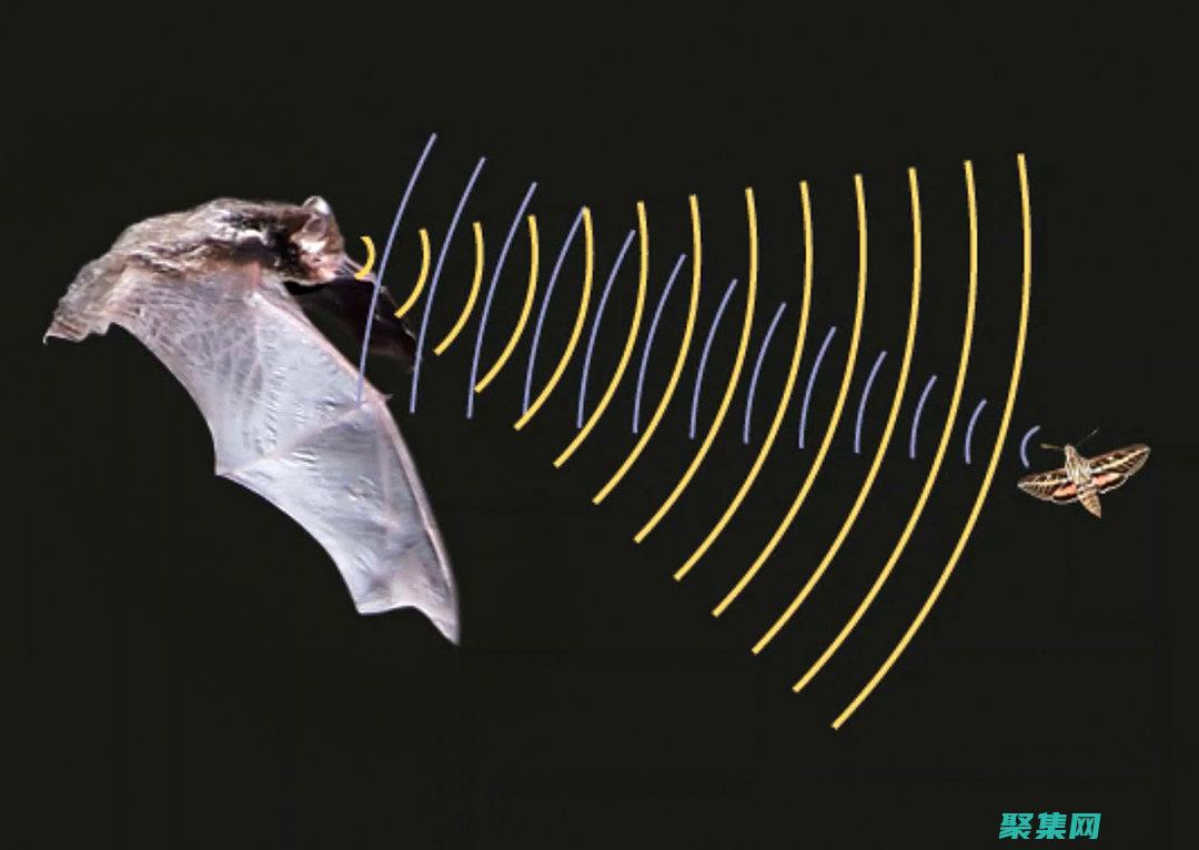 鏈接的進化：從簡單到復雜的超鏈接類型 (鏈接的演進情況有哪些?)
