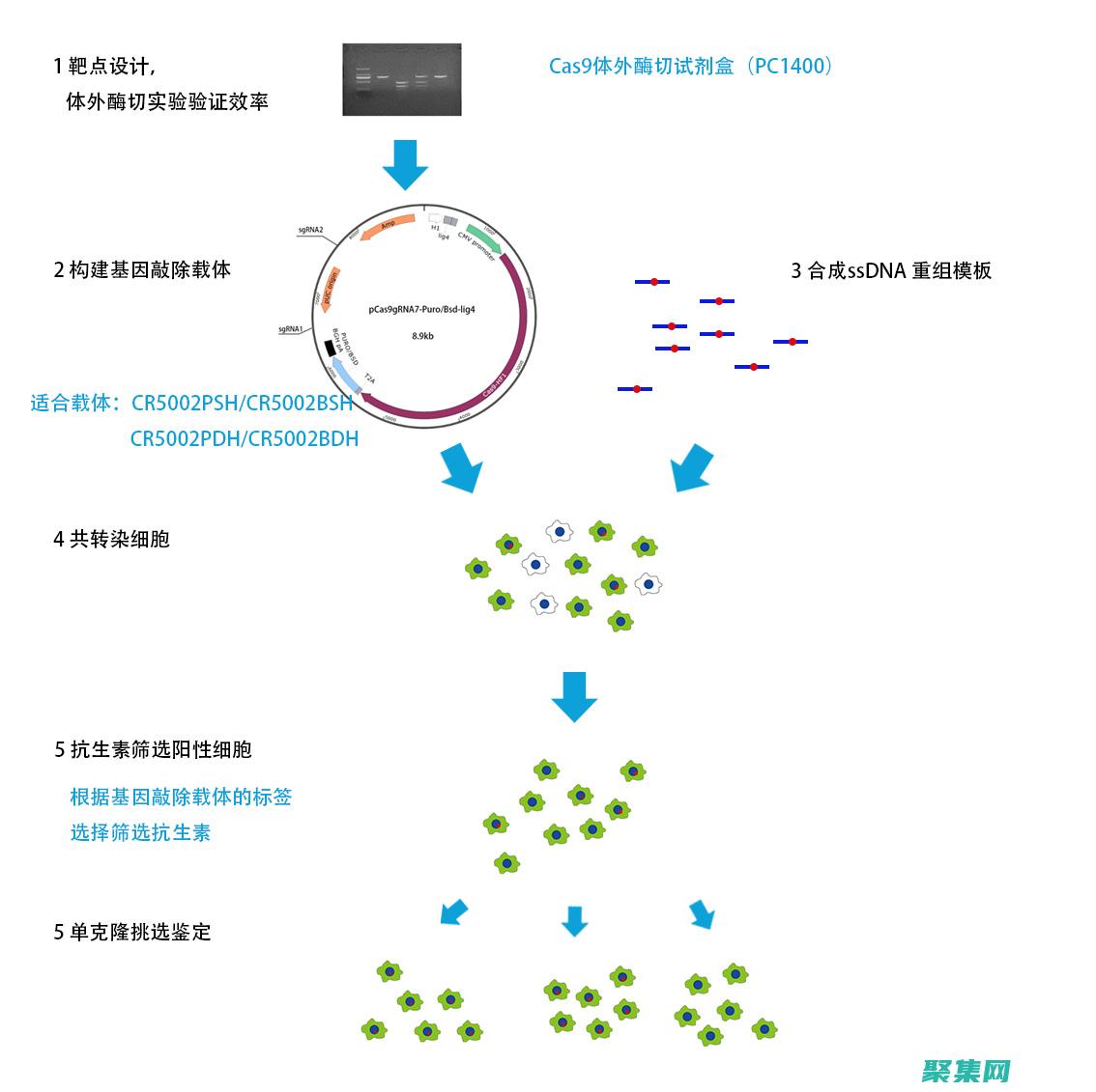 因此全棧開發(fā)人員必須不斷學習和適應新的技術(shù)和趨勢