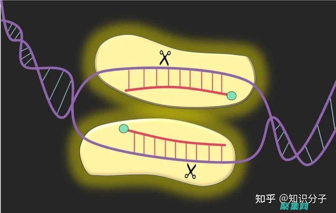 架構