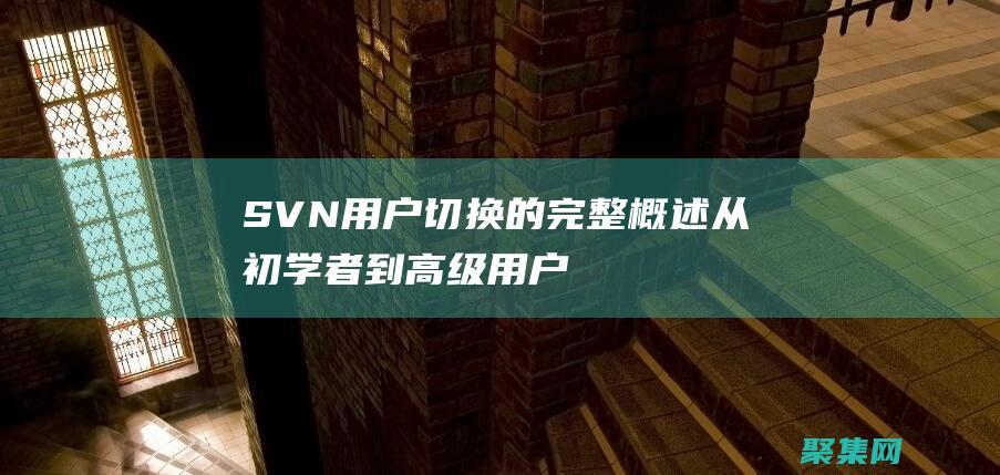 SVN 用戶切換的完整概述：從初學者到高級用戶 (svn用戶切換)
