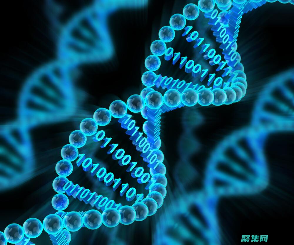 DatabaseLink：實(shí)現(xiàn)跨數(shù)據(jù)庫查詢的強(qiáng)大工具 (database)