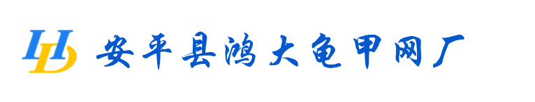 龜甲網,不銹鋼龜甲網,錨固釘廠家-安平縣鴻大龜甲網廠