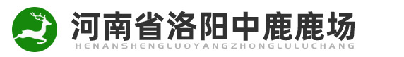 河南省洛陽(yáng)中鹿鹿場(chǎng)_鄭州養(yǎng)鹿場(chǎng)_鄭州鹿茸血酒_登封養(yǎng)鹿場(chǎng)