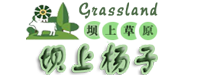 豐寧壩上草原自駕游|酒店|住宿|團建|夏令營 - 首選楊子農家院