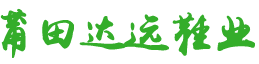 莆田市達遠鞋業有限公司耐克，阿迪達斯，彪馬，紐巴倫高品質莆田運動鞋