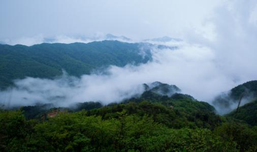 苗濟堂--靖安苗草集商貿有限公司歡迎您！
