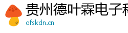貴州德葉霖電子科技有限公司